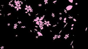 Today, as i was on my way back from a … Animated Cherry Blossom Wallpaper