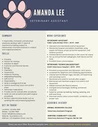 There are employed vet assistants in colleges, universities, and research programs. Veterinary Assistant Resume Samples And Tips Pdf Doc Templates 2021 Veterinary Assistant Resumes Bot Veterinary Assistant Job Resume Examples Medical Assistant Resume
