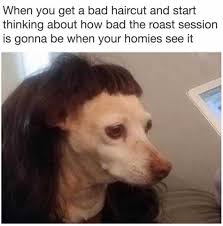 We did not find results for: Dopl3r Com Memes When You Get A Bad Haircut And Start Thinking About How Bad The Roast Session Is Gonna Be When Your Homies See It