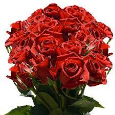 Extra XXX Long Stem Red Roses Flowers | GlobalRose