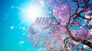 We did not find results for: Nike Hd Wallpaper Free Download For Desktop Pc Laptop Wallpaperxyz Com 29 The Best Wallpaper Full Hd Free Download