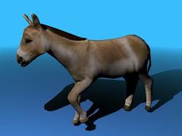 3d Model Donkey C4d Obj 3ds Fbx Ma Lwo 70211 3d Model Horses Animals