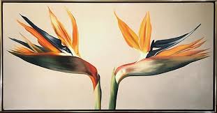 Bird of paradise wall art for home and office decor. Birds Of Paradise Lowell Blair Nesbitt Rogallery