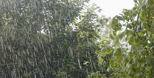 Resultado de imagen para LLUVIAS