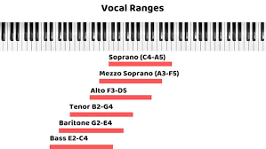 what is my voice type