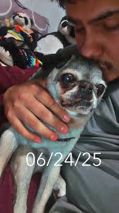 It's her birthday today. She's turning 17! 🎉