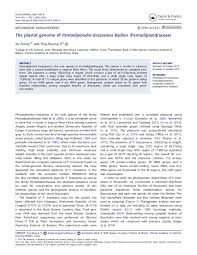 Image result for Pentadiplandraceae