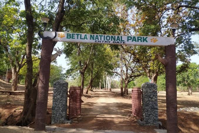 Betla National Park tourists No entry from July 1