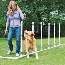 How To Build A Diy Dog Agility Course This Old House