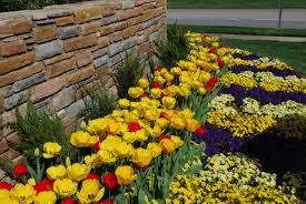Premier landscaping company of raleigh. Commercial Landscape Design Raleigh Durham Cary Nc