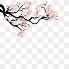 Tinta Pintados A Mano Hebilla Material Libre De Arboles De Cerezo Japanese Flowers Cherry Blossom Art Flower Backgrounds