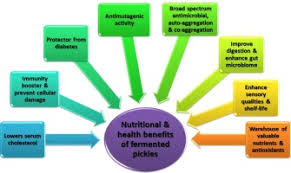 • da respaldo a la 4life probiotics contiene una mezcla exclusiva de cinco cepas de probióticos activos para brindar una. Traditionally Fermented Pickles How The Microbial Diversity Associated With Their Nutritional And Health Benefits Sciencedirect