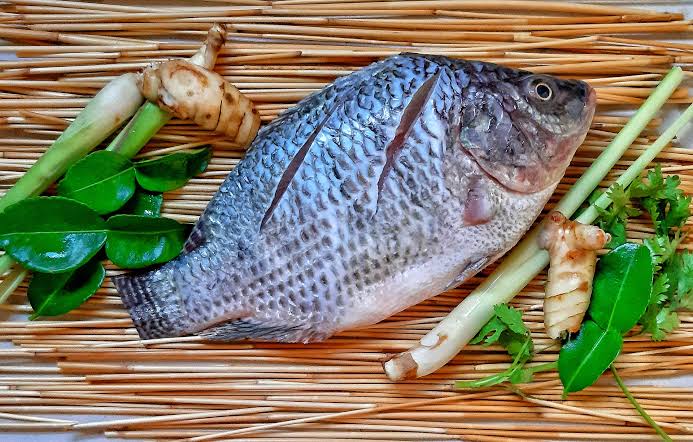 Tilapia: A Versatile Fish – Recette Magazine