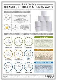 the chemistry of the smell of toilets human waste