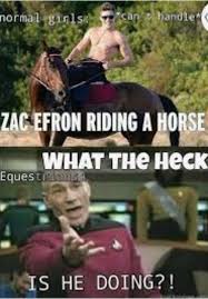 Zac Efron Equestrian Meme Funny Horse Memes Horse Jokes Funny Horses