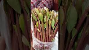 يسبب المخدر الجديد آلاماً وهلوسة، تصل إلى حد العدوانية وفقدان السيطرة بشكل كامل. ÙˆØ§ÙŠÙ„ Ø§Ù„Ù…Ø®Ø²Ù† Ø§Ù„Ù‚Ø§Øª Mp3