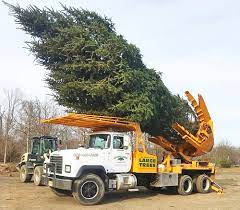 Next up is one of the biggest tree moving machines in the world. Tree Planting Transplanting New Jersey
