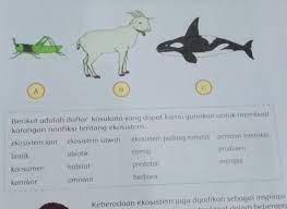 Pengertian kalimat efektif kalimat efektif adalah kalimat yang dapat mengungkapkan gagasan pemakainya secara tepat dan dapat dipahami oleh pendengar/pembaca secara tepat pula. Tuliskan Contoh Kalimat Ekosistem Sawah Abiotik Habitat Omnivor Brainly Co Id
