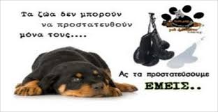 Image result for ΑΔΕΣΠΟΤΩΝ ΖΩΩΝ