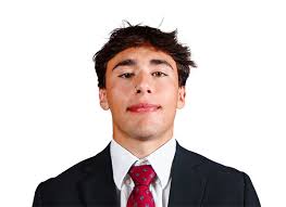 Nick Petrillo Career Stats