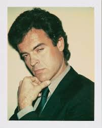 A Boy for Meg by Andy Warhol