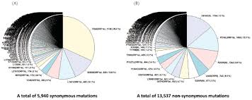 And 0.5 μmol/l for primers and 0.2 μmol/l for probes for human rnasep. Genome Wide Identification And Characterization Of Point Mutations In The Sars Cov 2 Genome