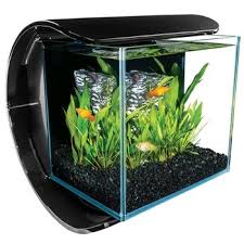 Marineland Silhouette Glass 3 Gallon Led Aquarium Kit In 2020 Aquarium Kit Betta Fish Tank Aquarium