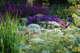 Liebe gartenbesucher eine große zahl der teilnehmer öffneten trotz aller widrigkeiten ihren garten für all die vielen gartenbegeisterten besucher. Offener Garten Schleswig Holstein 21 22 Juni 2014