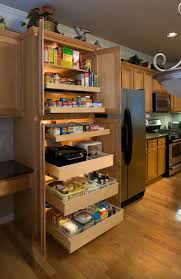 If you find the same quality the problem with most cabinetry is that its dark and deep. Pantry Pull Out Drawers Houzz