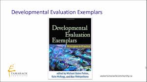 Image result for Developmental Evaluation