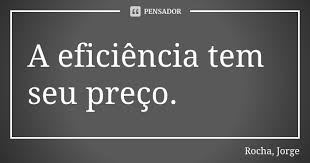 A Eficiencia Tem Seu Preco Rocha Jorge