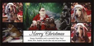 2014 Daily Drool Howliday Card Exchange