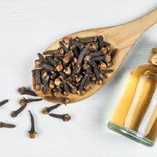 ( 100% pure and natural essential oil). Manfaat Minyak Cengkeh Untuk Kesehatan Tubuh