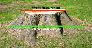 We grind the stump about 6 to 8 inches below ground level. How Much Does Stump Grinding Cost Stump Pro S Stump Grinding