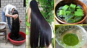 2 Kat Hizli Sac Uzatan Gurlestirici Tarif Sac Dokulmesine Son Ev Yapimi Aloe Vera Jeli Bakim Youtube