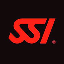 Supplemental security income (ssi) is a federal income supplement program funded by general tax revenues (not social security taxes): Dive Ssi Youtube