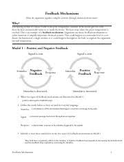 Feedback mechanisms crewscience feedback mechanisms worksheets teaching resources tpt quiz worksheet climate change feedback mechanisms mr schmitt biology 12 feedback mechanisms worksheet. Feedback Mechanisms Pogil Pdf Feedback Mechanisms How Do Organisms Regulate Complex Systems Through Chemical Interactions Why The Heating System Of A Course Hero
