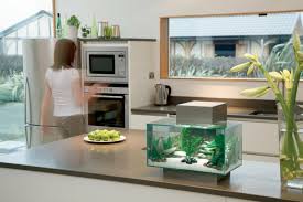 This is a demonstration of how i managed to build in a 70l aquarium under a double width wall unit in my kitchen. Aquarium Design Original Aquarium Furniture Ideas A Spicy Boy