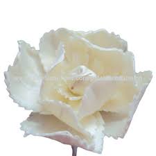 We did not find results for: Sola Wood Flower Global Sources