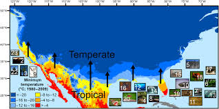 Still a one man band and still ambitious and driven by money lol. Tropicalization Of Temperate Ecosystems In North America The Northward Range Expansion Of Tropical Organisms In Response To Warming Winter Temperatures Osland 2021 Global Change Biology Wiley Online Library