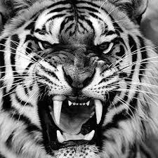 We did not find results for: Jasa Pengisian Khodam Putih