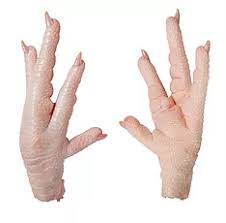 Chicken Paw Hacked By Medo It is one of the most common and widespread domestic animals. chicken paw hacked by medo