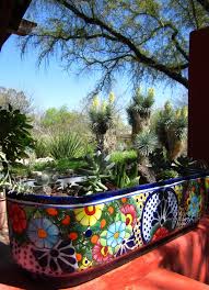 Desert Botanical Garden Tucson In 2020 Tucson Botanical Gardens Desert Botanical Garden Botanical Gardens