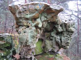 Fontainebleau Forest France Bouldering Forest Rocky Creek