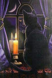 sukur secdesinde usuten kedi kedi halloween sanati hayvanlar