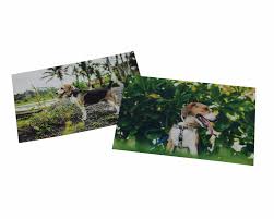 Bei myfoto kannst du fotoabzüge bestellen und dein eigener livestyle artist der aufregendsten feelings werden. Fotoabzuge Fotos Online Bestellen Photobox