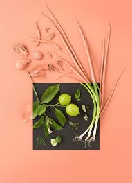 Melbourne Based Photographer Sarah Anderson And Designer Zoe Hodgens Created These Playful Food Images E Still Life Photography Color Studies Life Photography