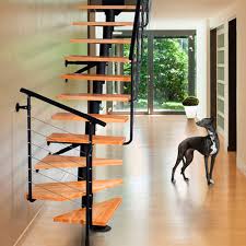 Image result for Disa stairsii