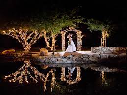 Best Places To Get Married In Tucson Arizona Phoenix Wedding Venues Tucson Wedding Venues Arizona Wedding Venues Arizona Wedding Phoenix Wedding Venue