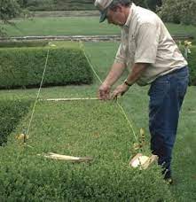 Pin On Garten